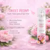 Sweet peony infographic
