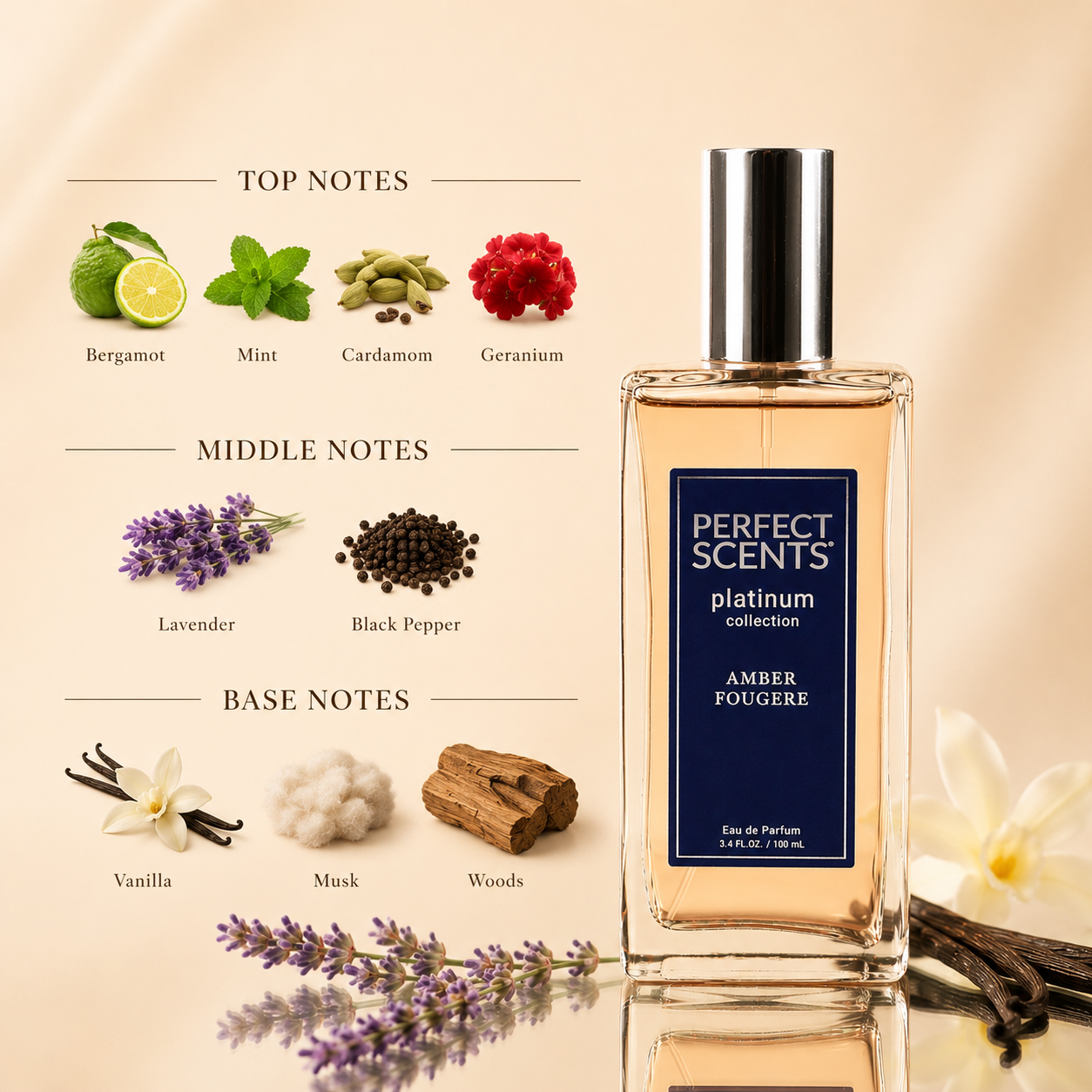 Perfect Scents Amber Fougere | Inspired by Jean Paul Gaultier Le Male
