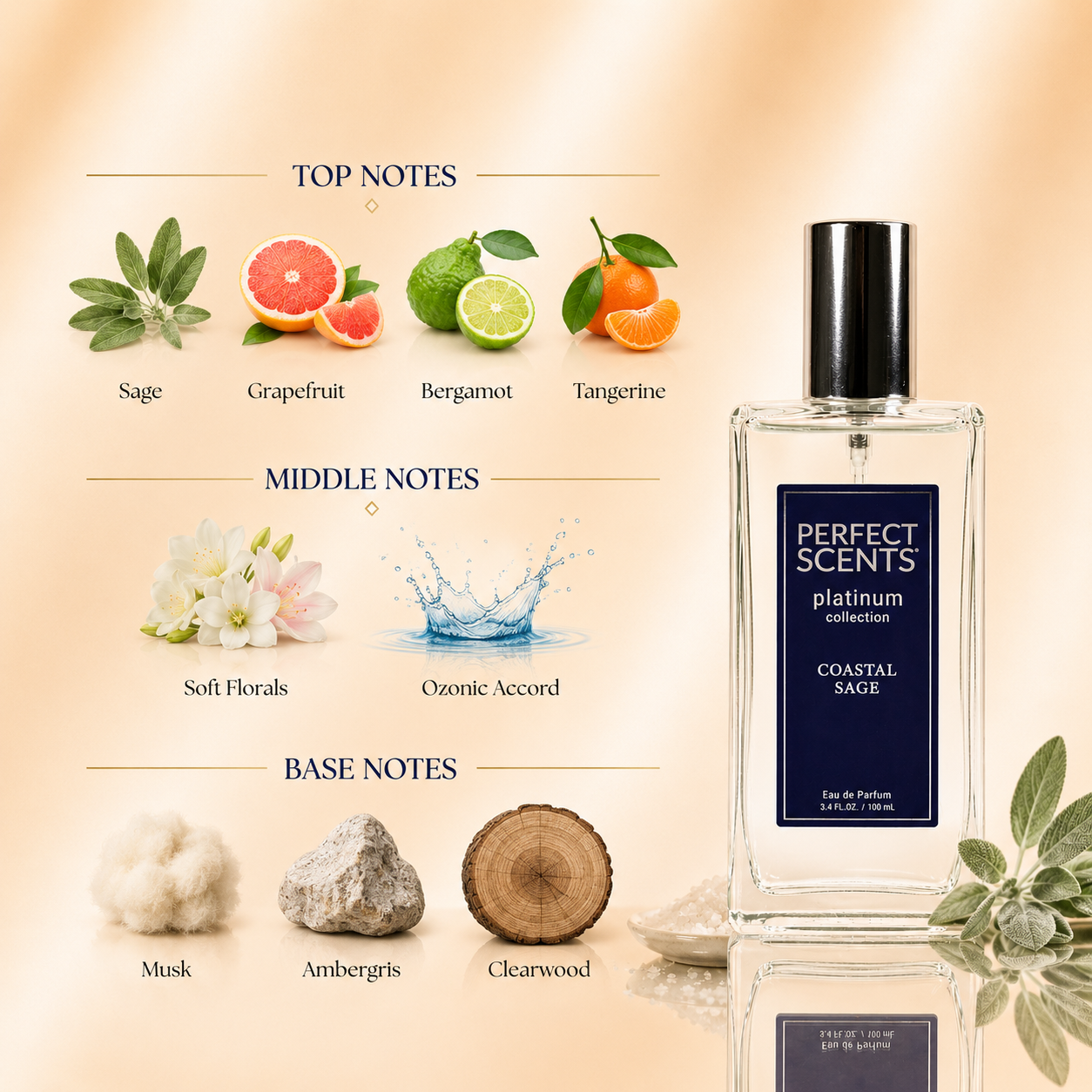 Perfect Scents Coastal Sage | Inspired by Jo Malone's Wood Sage & Sea Salt - Image 2